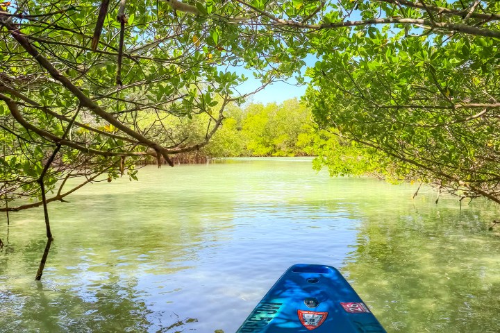 Blue kayak under green leafy trees on calm, clear water.