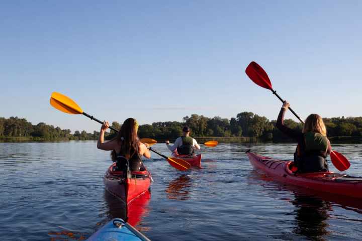 Three people kayaking on a calm river under a clear blue sky.