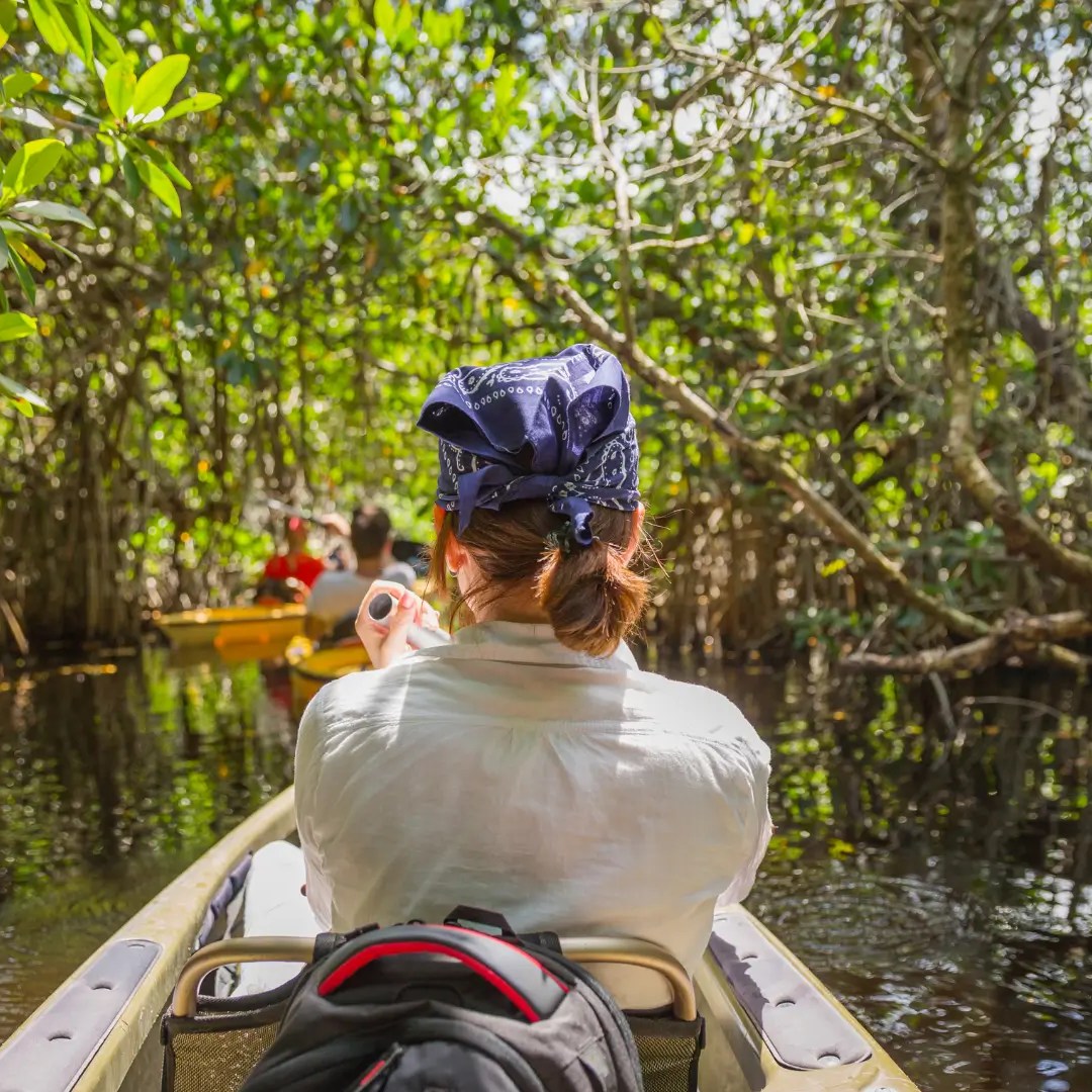 Person kayaking through dense mangrove forest with others.